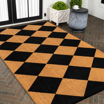 Paige Modern Classic Diamond-patterned Coir Area Rug